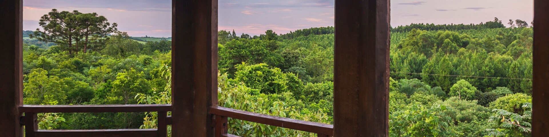 Viewing tower at Posada Puerto Bemberg Hotel, accommodation near Iguazu Falls and Puerto Iguazu, Misiones Province, Argentina, South America