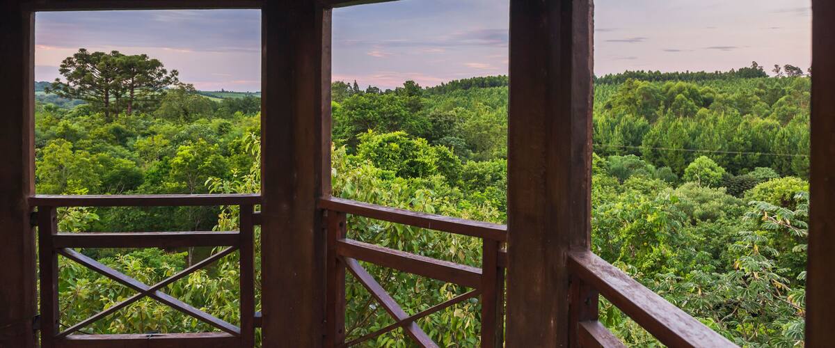 A wooden structure with a view of a dense forest.
