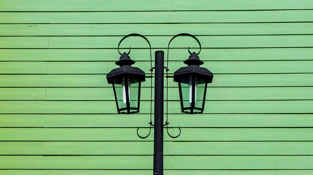 Lamp post in the village of Tres Lagos in southern Argentina, visited while exploring Patagonia. There were a lot of interesting building around there, but this one alone with the lamppost made it more intriguing.
#Green