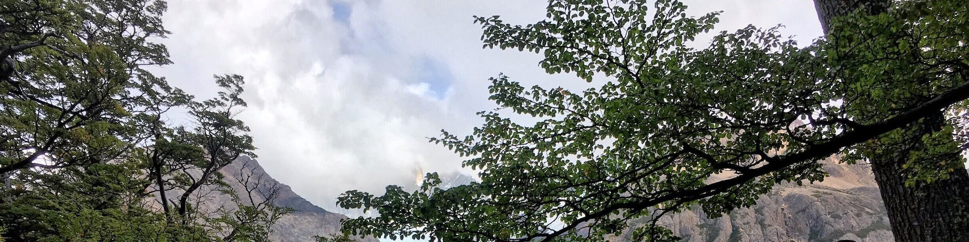 While hiking through a prairie one should stop and smell the roses. When walking through a forest on the doorstep of the Argentinian Andes one needs to stop to take in the beauty of the ancient glaciers poking through the clouds.
#TakeAHike
#StopAndSmellTheRoses
#Patagonia