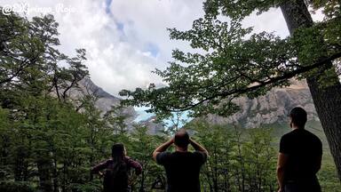 Uma área arborizada com montanhas ao fundo e uma geleira visível.