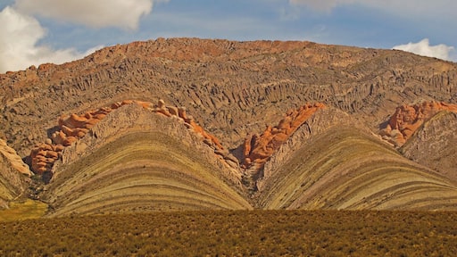 Devil's Backbone. Once again, nature surprises.