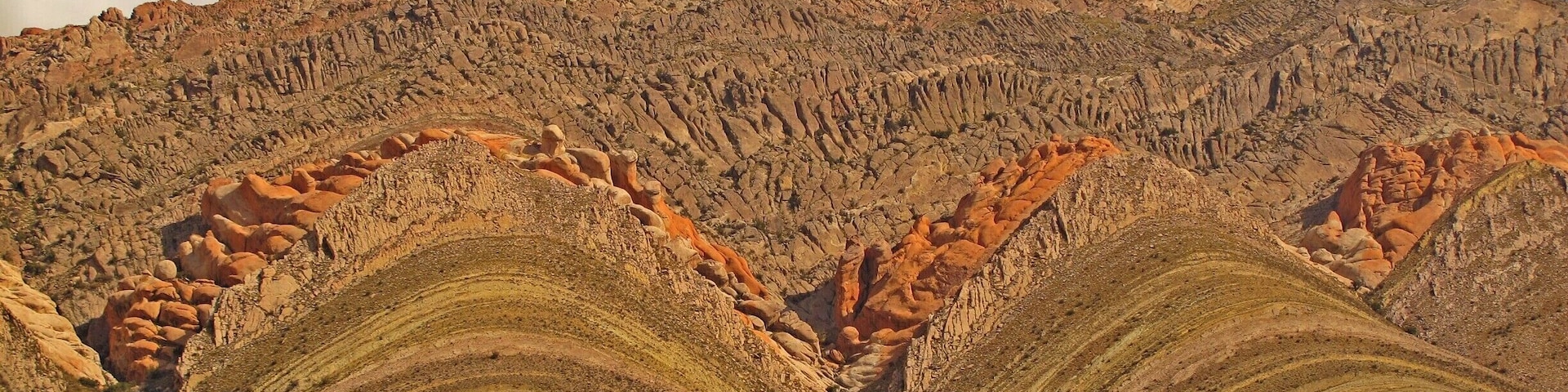 Devil's Backbone. Once again, nature surprises.