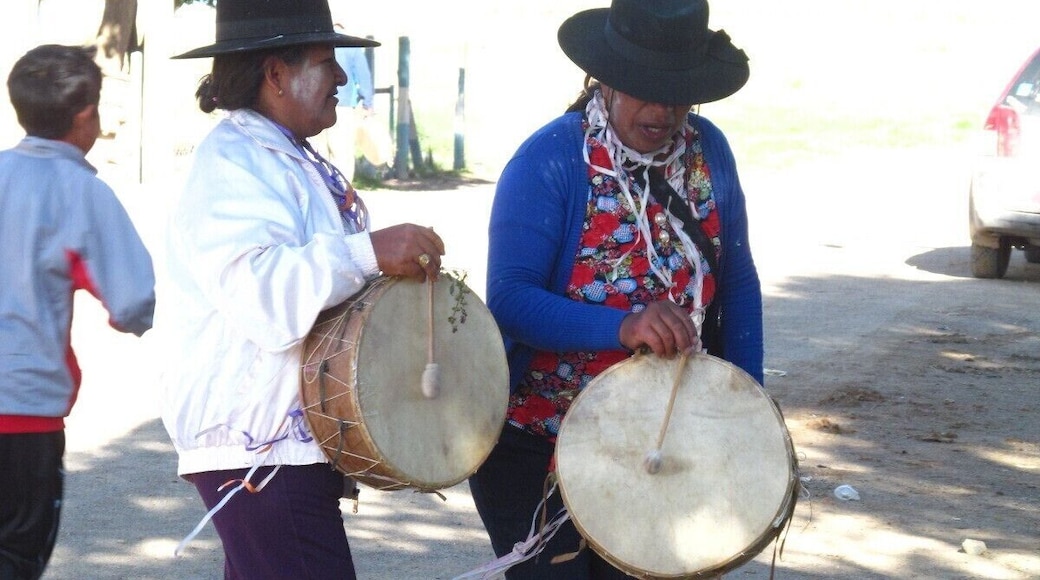 Copleras, in the Carnaval festival. They play this instrument and sing allegorical songs.
