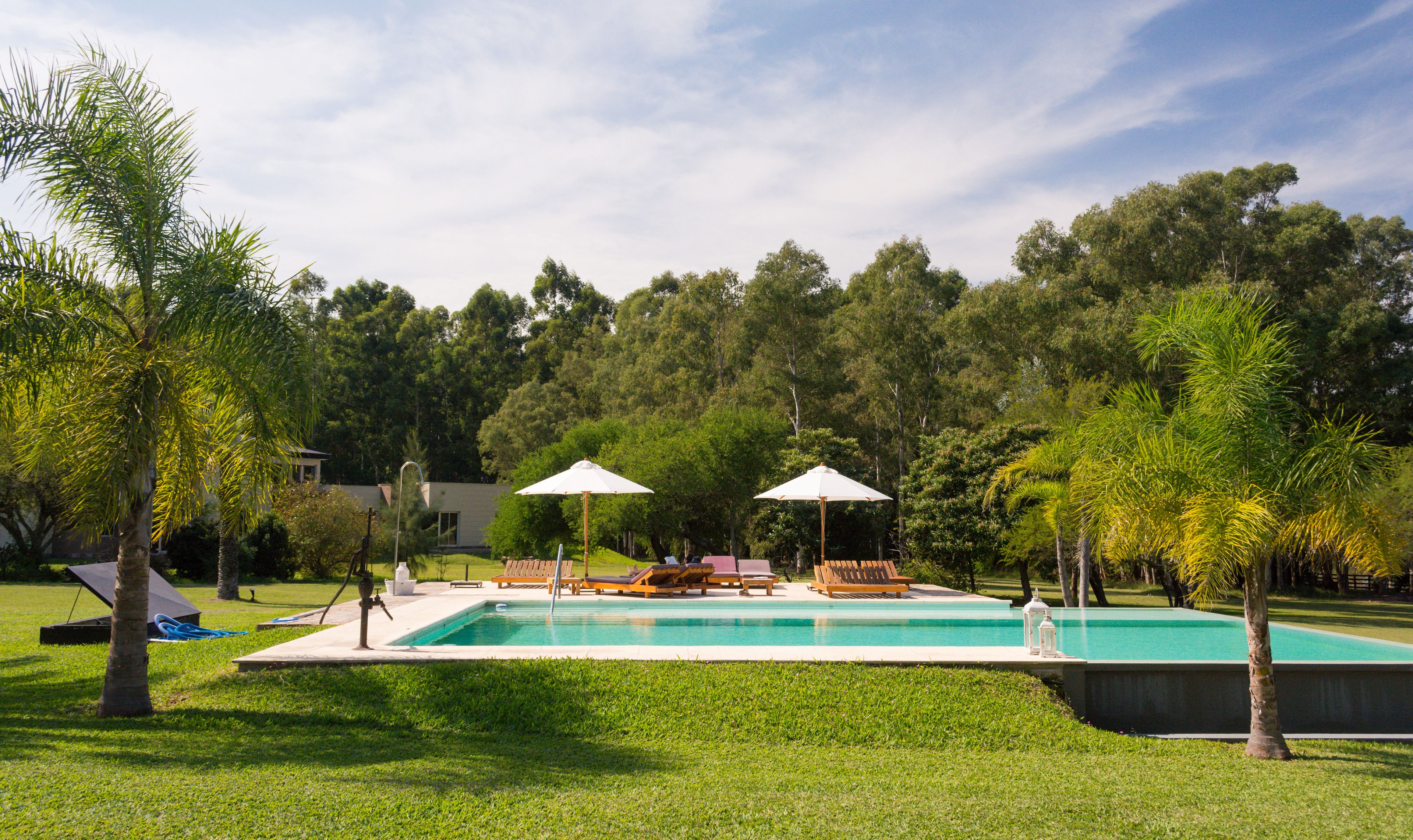 A swimming pool with lounge chairs and umbrellas, surrounded by lush greenery and trees.