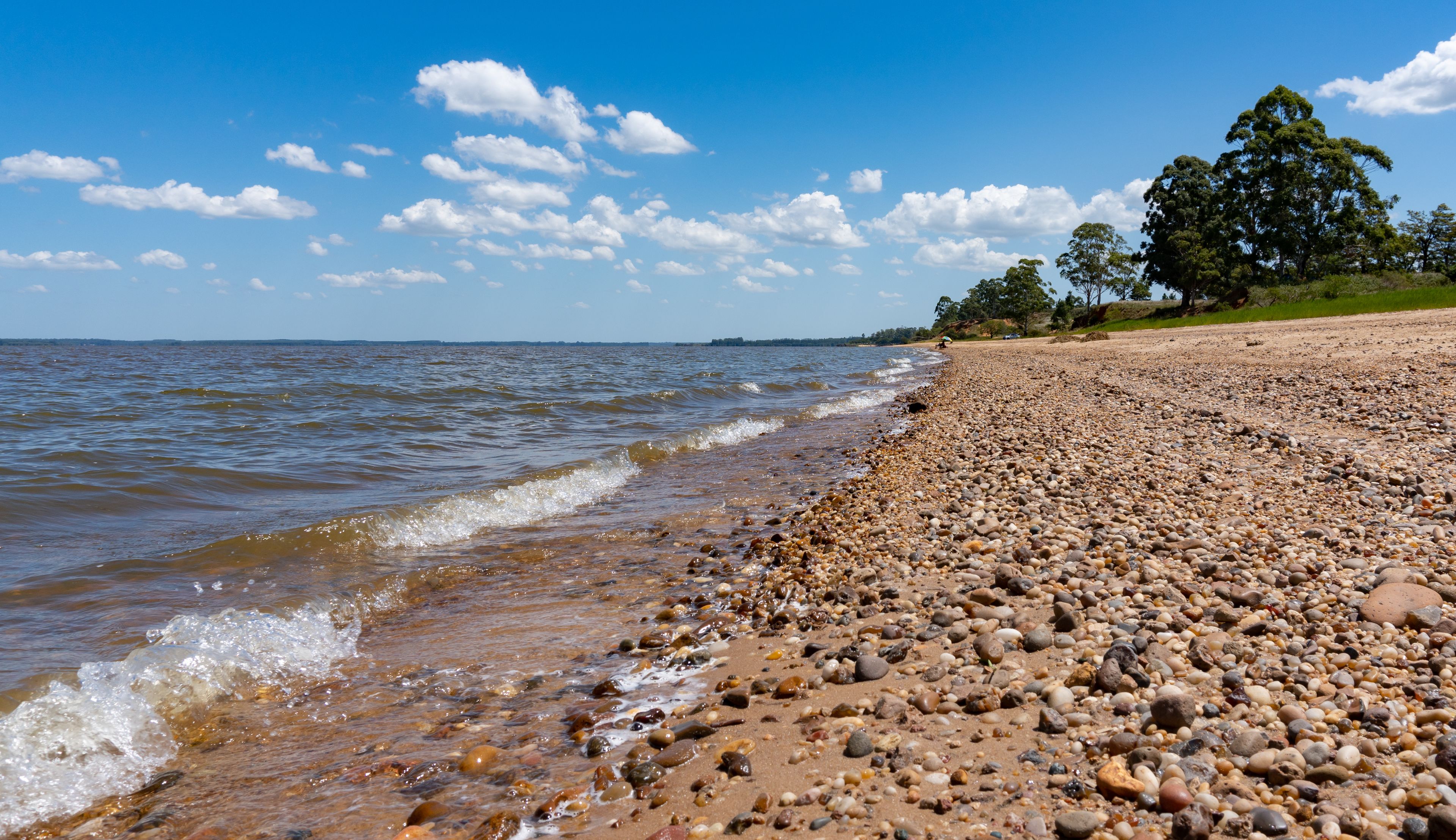 A pebbly beach with waves, a clear sky, and trees in the background.