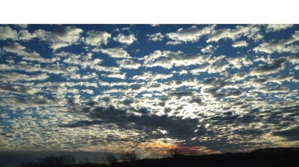 Delta de tigre, sunset.