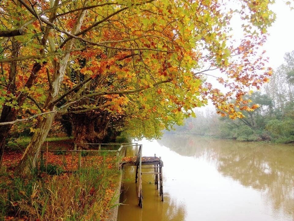 Fall is here.
Delta´s & Tigre streams are so lovely