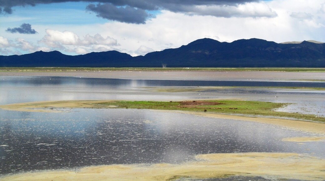 Really beautiful place, it is a protected area with more than 50 species of birds.