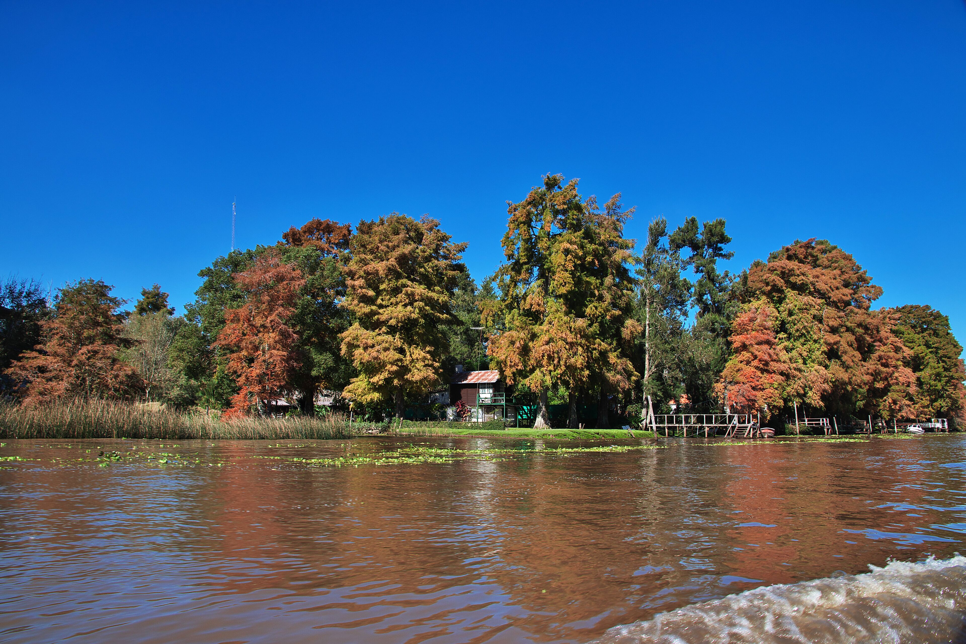 Tigre Delta, Buenos Aires, Argentina