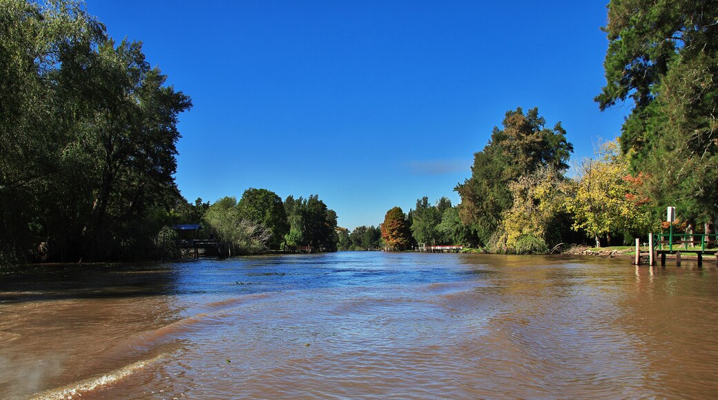 Tigre Delta, Buenos Aires, Argentina