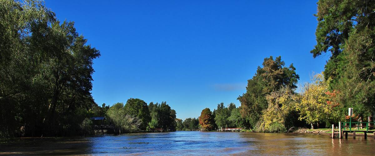 A river with muddy water surrounded by trees and a clear blue sky.