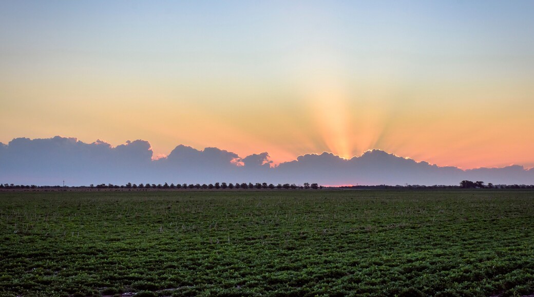 ๋น์ผ ์ฐ์ด๋๋ธ๋ก