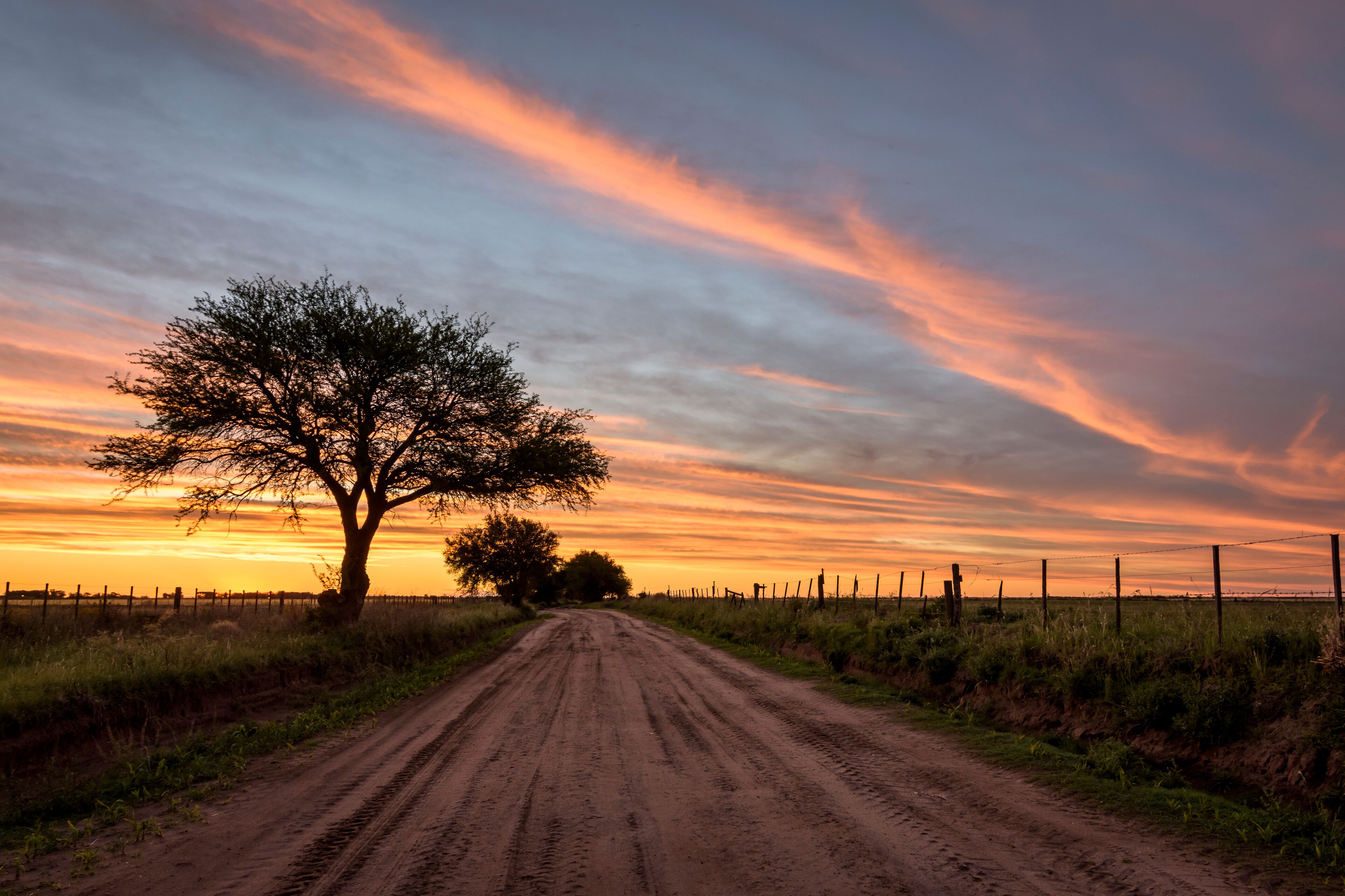 비야 우이도브로