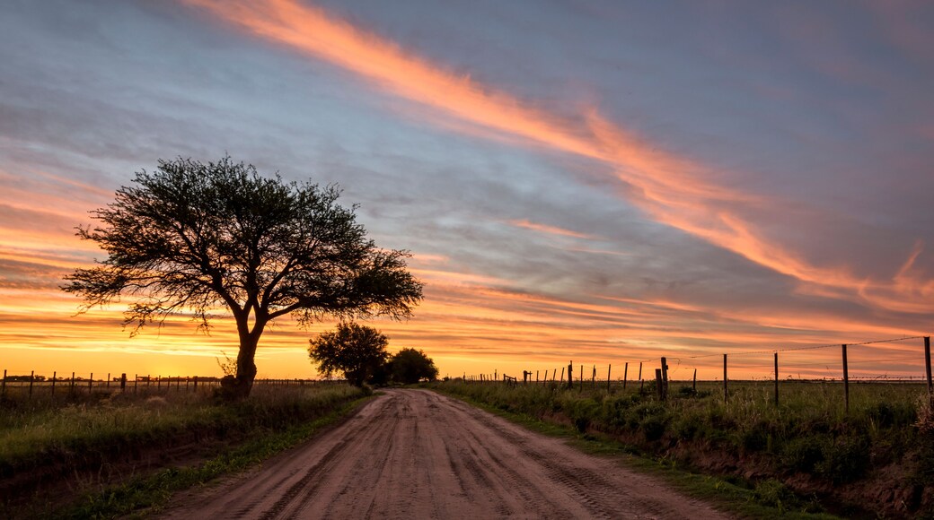 ๋น์ผ ์ฐ์ด๋๋ธ๋ก