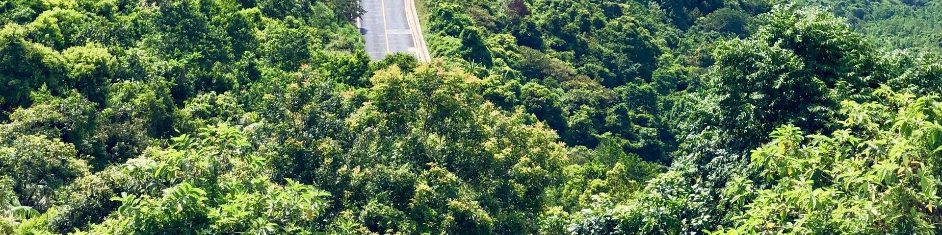 Viewpoint at Hai Van Pass