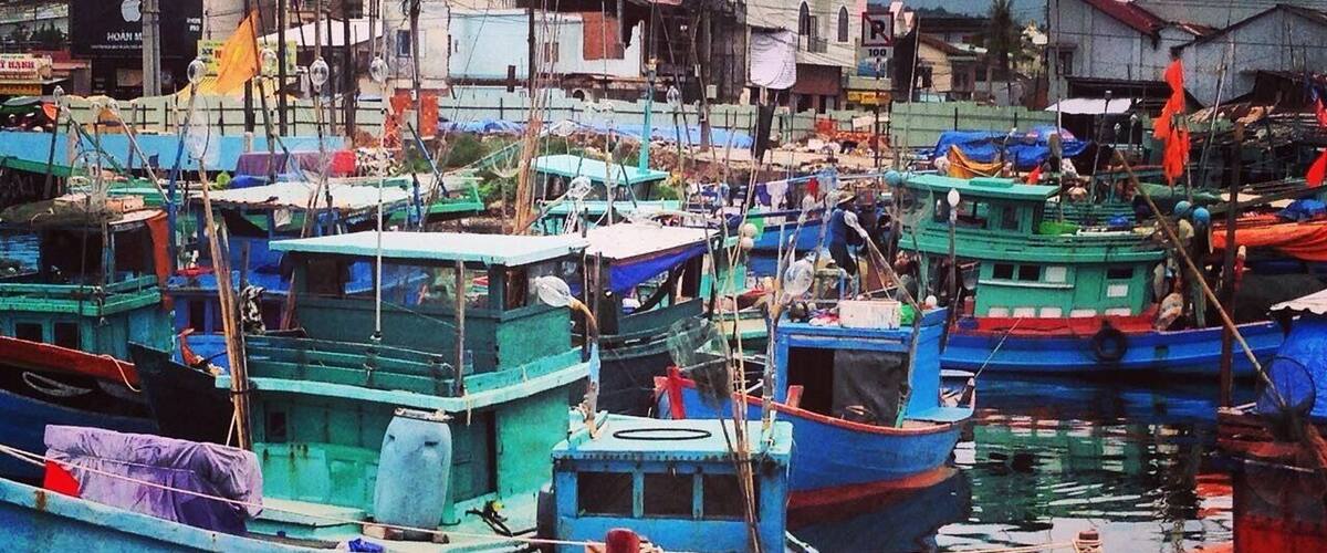 #blue boats in Vietnam.
#vietnam #southeastasia