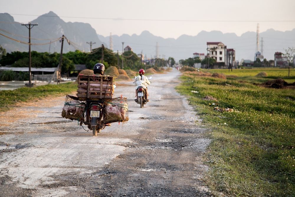 While driving around the Vietnamese scenery you often see, for us, strange things. Like this motorbike carrying around a bunch of pigs. 

We saw this one and much more when we were driving from Cuc Phuong towards Hanoi. Definitely worth visiting. Take a two day motorbike trip, leave early in the morning from Hanoi to Tam Coc. Sleep in a hotel. And in the morning drive to Cuc Phuong, visit the park and drive back to Hanoi! Really nice:)

#weekendgetaway