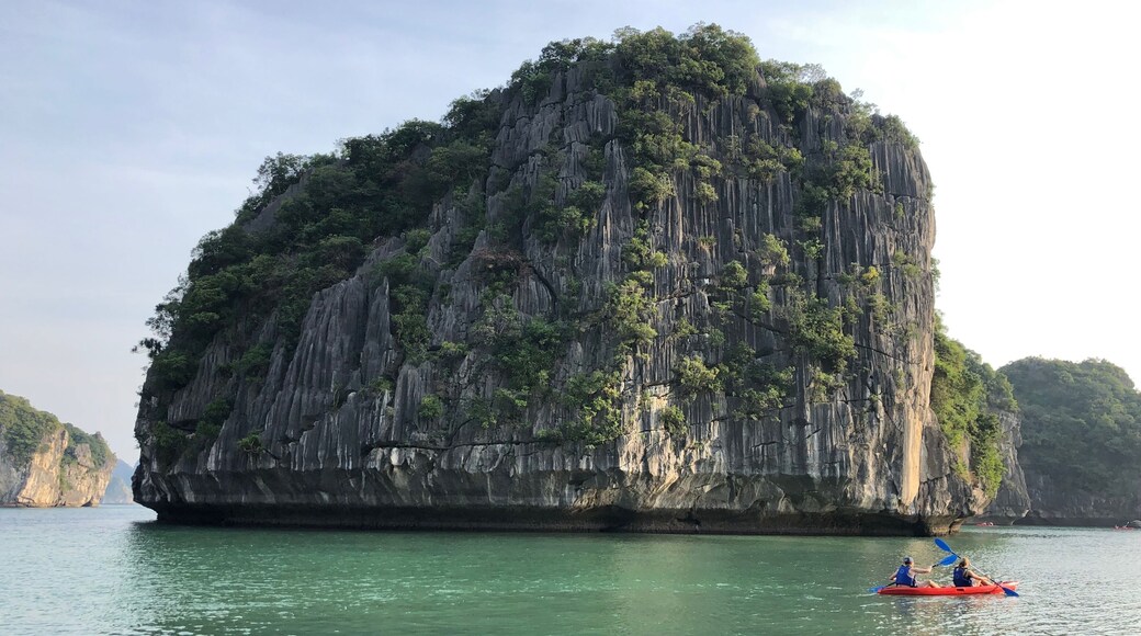 Lots of people kayaking here