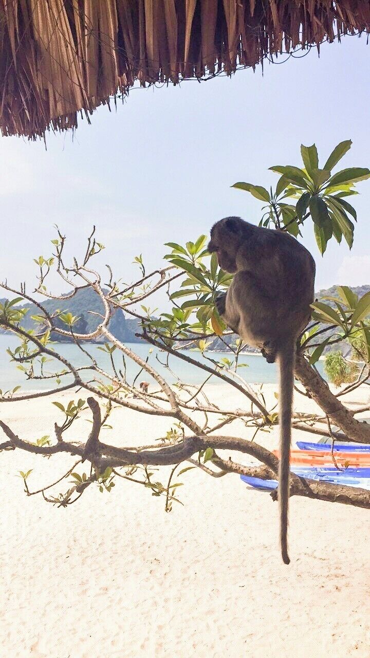 Perfect day at a quiet beach and some friends hanging around.
#lifeatexpedia