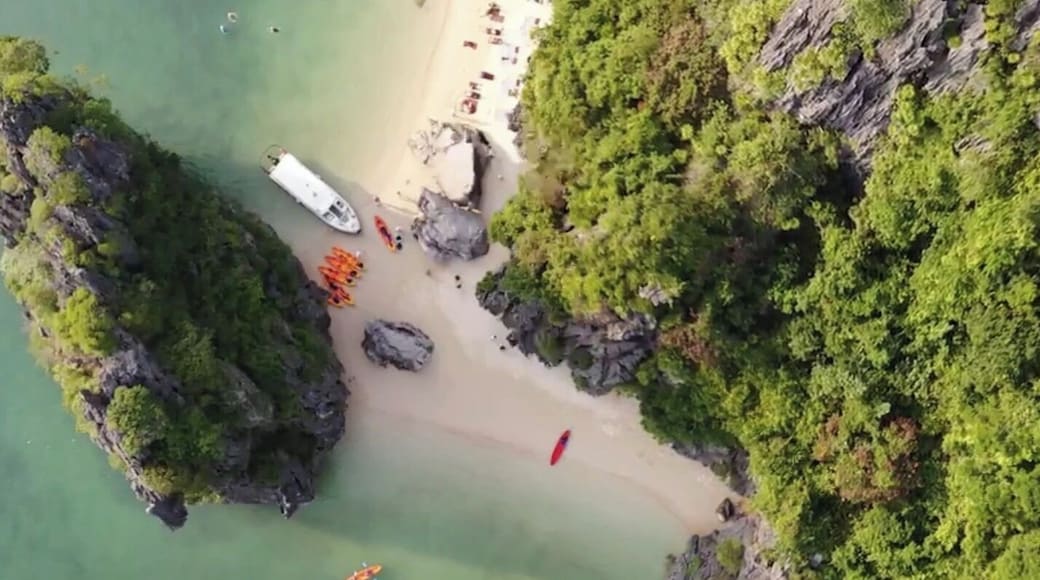 Areal view of the beach