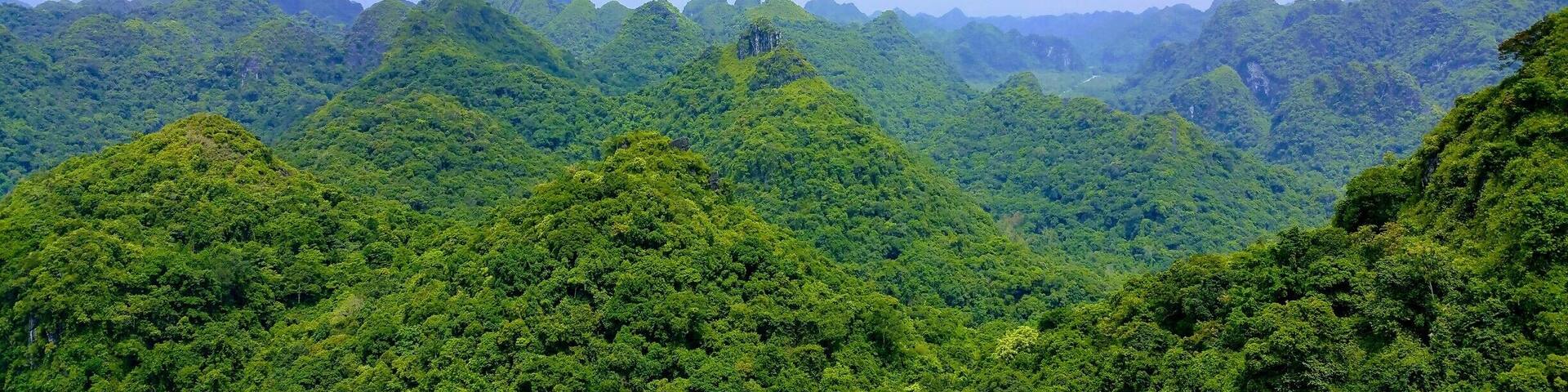 Ngu Lam, Cat Ba National Park, Vietnam.
The View from Ngu Lam Peak in Cat Ba National Park. The National Park is in the center of Cat Ba Island and home's most of the world's most endangered primate, the Golden-Headed Langur, as well as many other species of mammal and birds. The Karst Peaks are stunning and there are a few other good hikes in the Park. #TakeAHike #packsandaplan