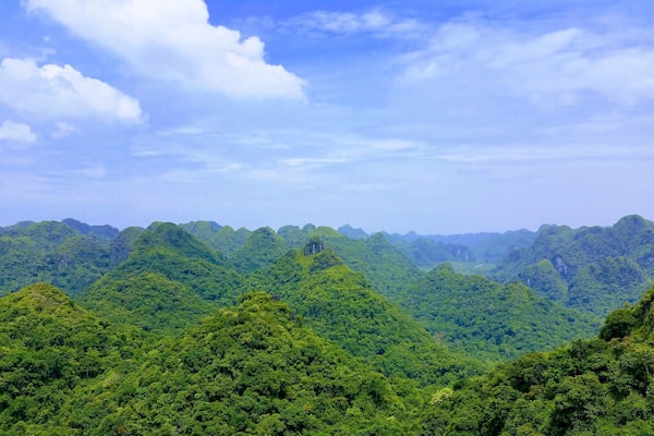 Ngu Lam, Cat Ba National Park, Vietnam.
The View from Ngu Lam Peak in Cat Ba National Park. The National Park is in the center of Cat Ba Island and home's most of the world's most endangered primate, the Golden-Headed Langur, as well as many other species of mammal and birds. The Karst Peaks are stunning and there are a few other good hikes in the Park. #TakeAHike #packsandaplan
