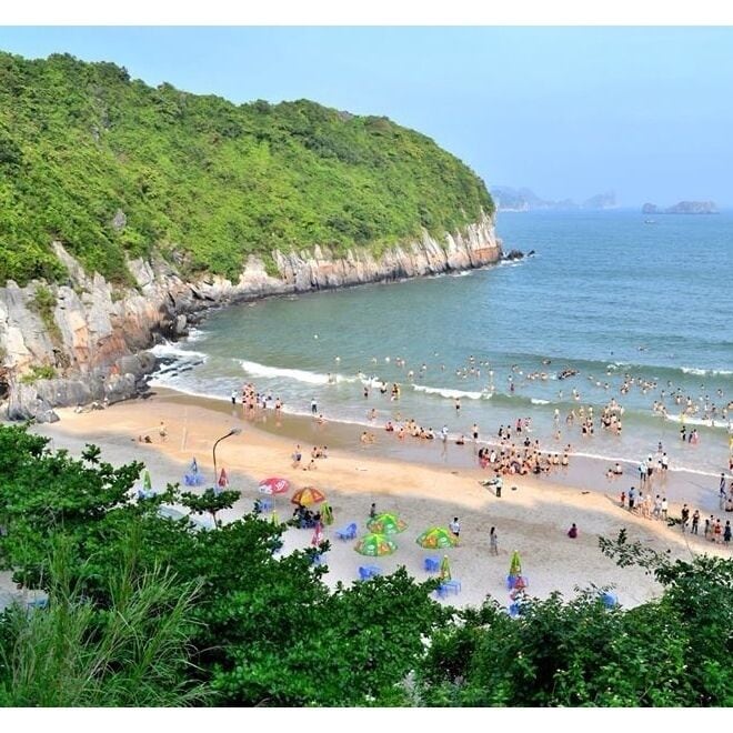 A crowded beach with people enjoying the water, surrounded by greenery and rocky cliffs.