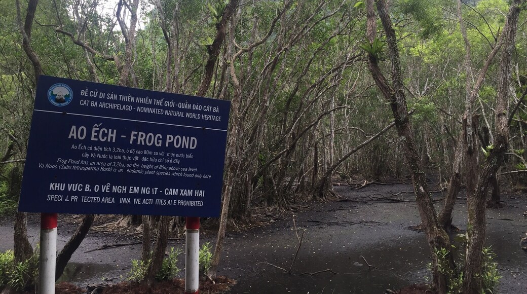 A longer, typically less crowded hike in Cat Ba National Park takes you to Frog Pond, deep in the middle of the park. It's a 6km hike each way. Make sure you wear good shoes and be careful if it has recently rained - the rocks you climb over can get slippery!