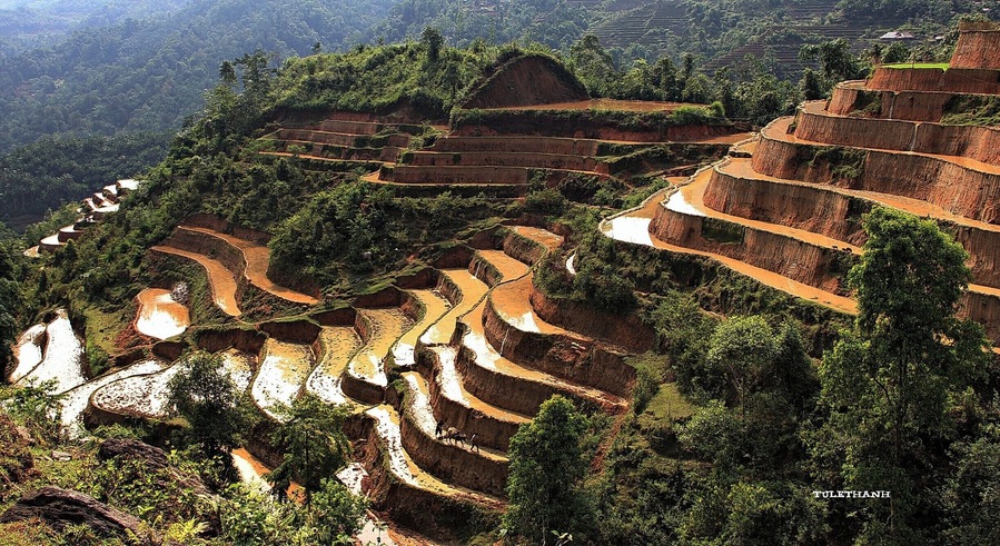 MÀU CỦA ĐẤT
