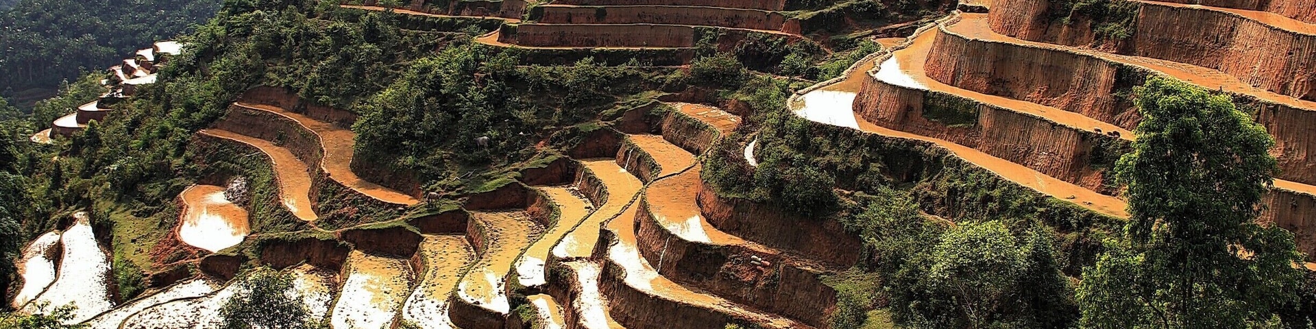 MÀU CỦA ĐẤT