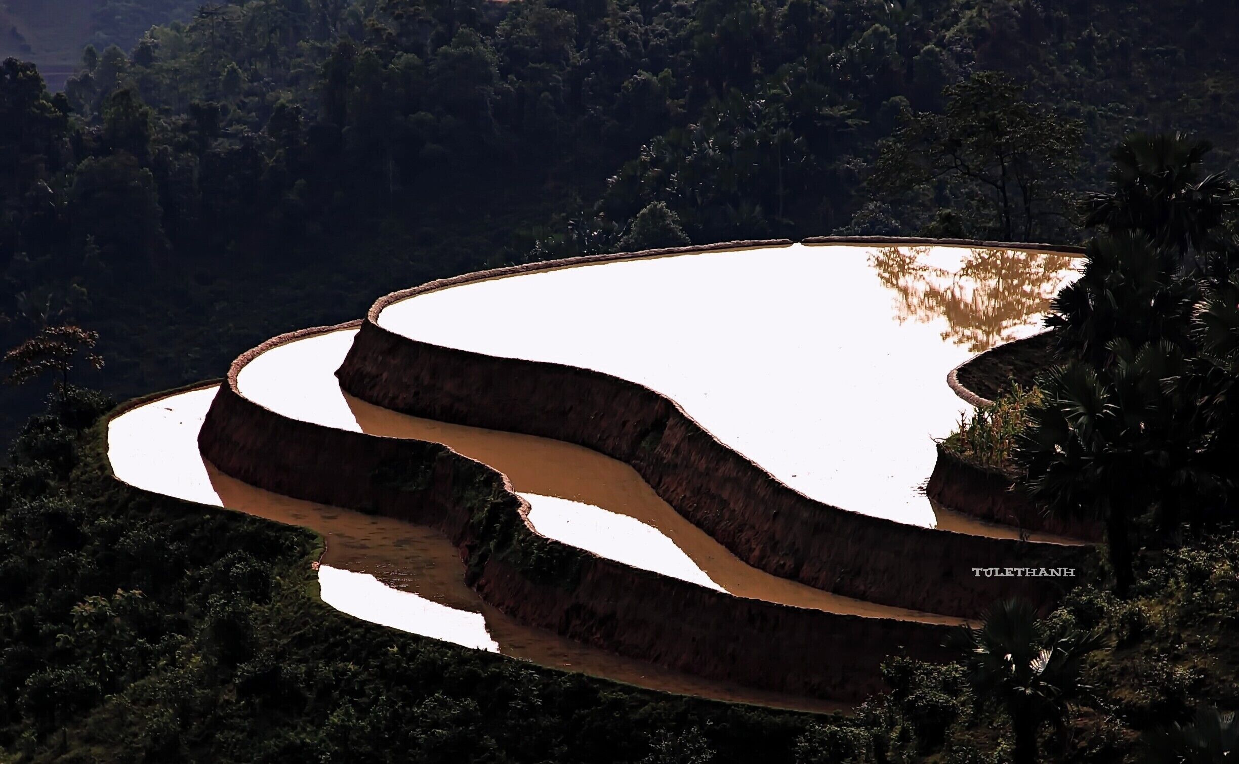 GƯƠNG CỦA ĐẤT 