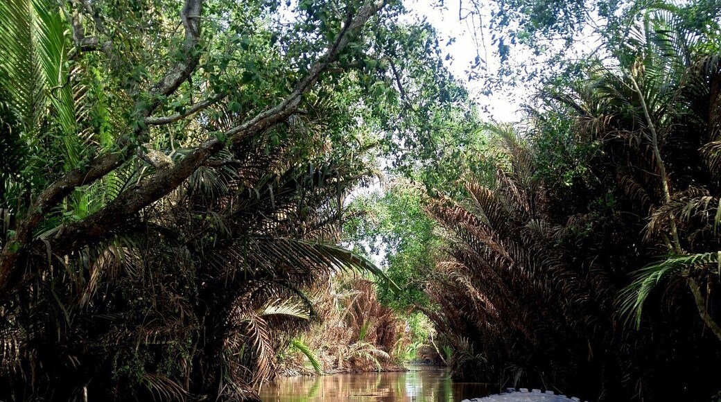 mekong delta