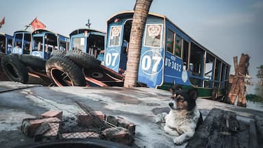 Nam Views | Mekong River: Taxi boats sit docked on the river looking starved for passengers. Would have loved to have visited the Mekong River while there was a bit more activity, but on the bright side there were no crowds and that has been pretty rare for most places I’ve visited.
.
.
.
.
#sonyalpha #sonya7riii #traveler #travellife #travelphotography #travelpics #travelgram #wanderer #wanderlust #instagood #instatravel #yourshotphotographer #lpfanphoto #troveon #explorevietnam #southeastasia #vietnam #visitvietnam #beautifulseasia #igvietnam #vietnamcharm #vscovietnam #asianculture #mekongriver #mekongdelta #dock #taxiboat #woodenboat #dog