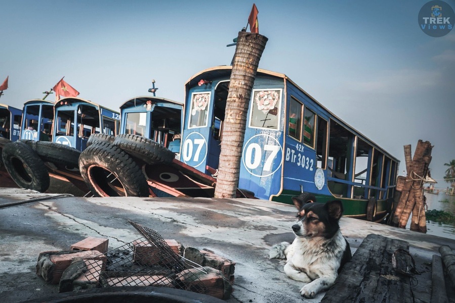 Nam Views | Mekong River: Taxi boats sit docked on the river looking starved for passengers. Would have loved to have visited the Mekong River while there was a bit more activity, but on the bright side there were no crowds and that has been pretty rare for most places I’ve visited.
.
.
.
.
#sonyalpha #sonya7riii #traveler #travellife #travelphotography #travelpics #travelgram #wanderer #wanderlust #instagood #instatravel #yourshotphotographer #lpfanphoto #troveon #explorevietnam #southeastasia #vietnam #visitvietnam #beautifulseasia #igvietnam #vietnamcharm #vscovietnam #asianculture #mekongriver #mekongdelta #dock #taxiboat #woodenboat #dog