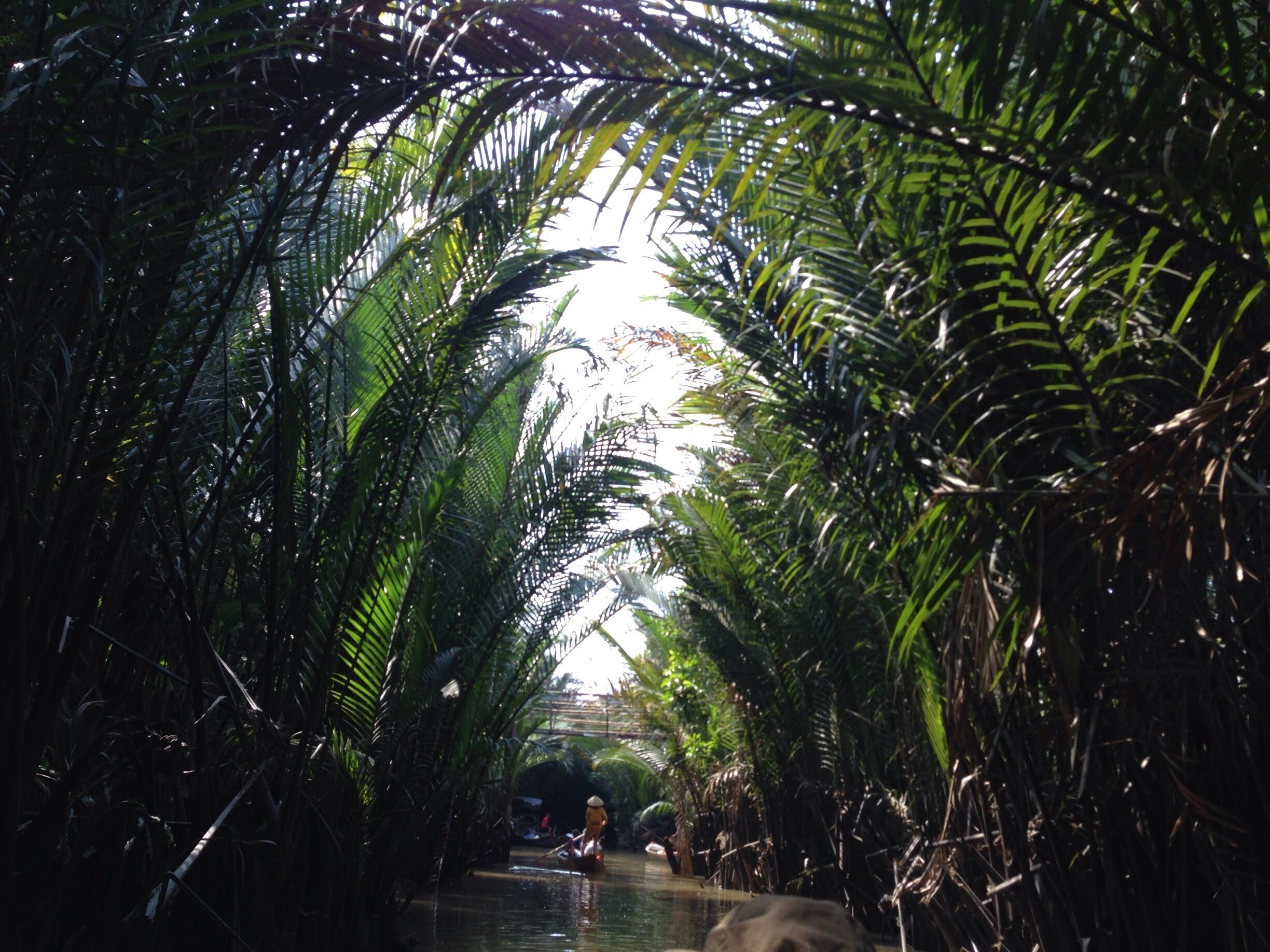 Boat ride on the Mekong Delta! A must do while in Vietnam near Ho Chi Minh City
#River Photo Challenge!
