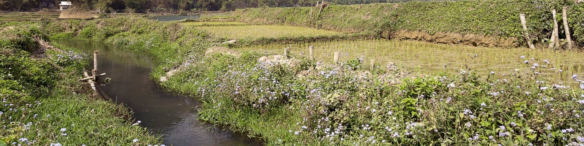 An area in Vietnam that's getting more popular under backpackers.
Mai Chau.
Deep in de valley in a mountainous area. Not a lot of hotels are around. Homestay seems logical.
Beautiful area. Easy to go to Moc Chau from here to visit the flower fields.
#outdoor #vietnam #weekendgetaway