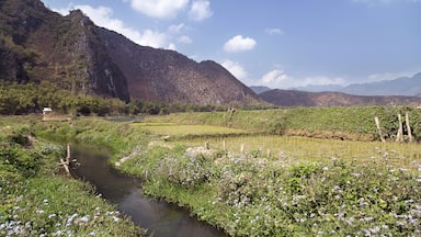 An area in Vietnam that's getting more popular under backpackers.
Mai Chau.
Deep in de valley in a mountainous area. Not a lot of hotels are around. Homestay seems logical.
Beautiful area. Easy to go to Moc Chau from here to visit the flower fields.
#outdoor #vietnam #weekendgetaway