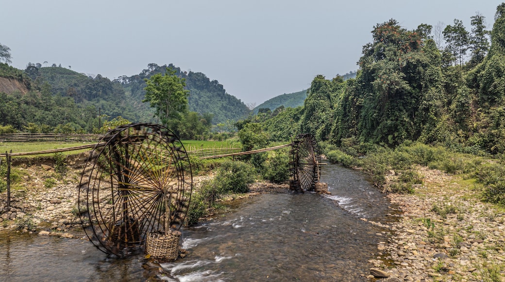 กหวี่เหิป