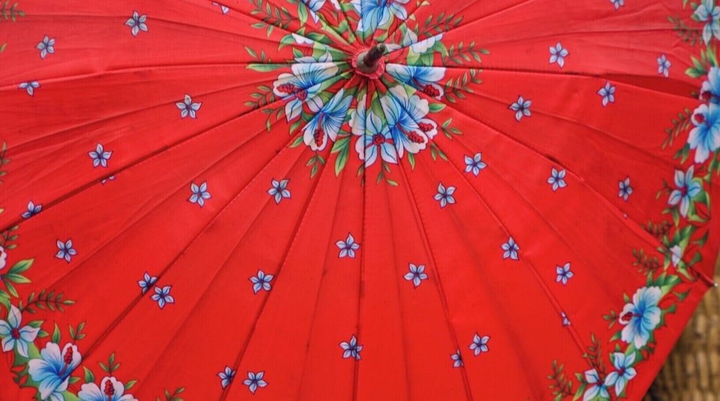 Ladies of the Flower Hmong congregate with their customary heavy dress and bright parasols. Bac Ha market Vietnam.
#Red