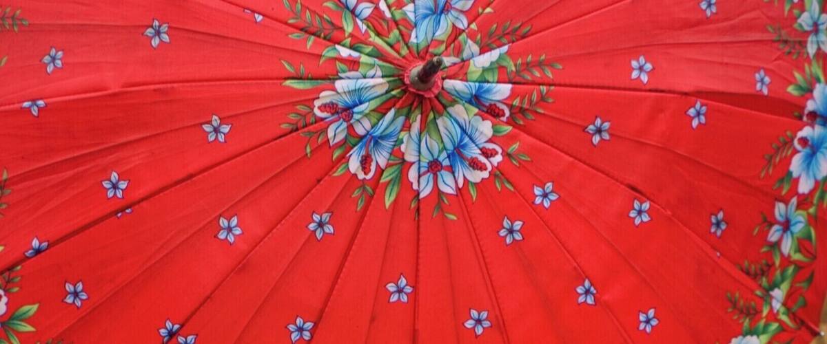 Ladies of the Flower Hmong congregate with their customary heavy dress and bright parasols. Bac Ha market Vietnam.
#Red