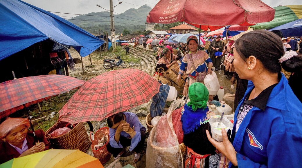 #LikeALocal, #Adventure
Bac Ha market in the North of Vietnam.
Held every Sunday, a frenetic,buzzing social event,where the various hill tribes descend,"in particular the Flower Hmong" ,to trade,drink,eat and generally make merry.Rice or Corn wine in Jerrycans,
Sữa Chua Yaourt (Vietnamese Yogurt), delicious.