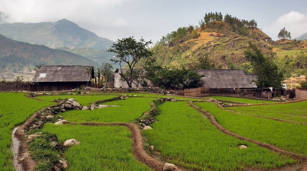 http://www.impresstravel.com/travel-news/6-must-see-exciting-ethnic-villages-in-sapa.html
The uncommon feature of Sapa is the dense population of different ethnic groups in a limited space. Visiting Sapa, visitors cannot miss the experience of discovering 6 villages that Impresstravel.com lists as follows: