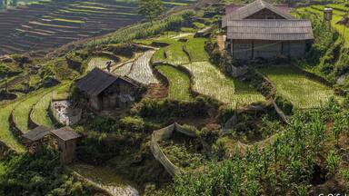 Terraced rice fields, traditional houses, and a water tower in a rural landscape.