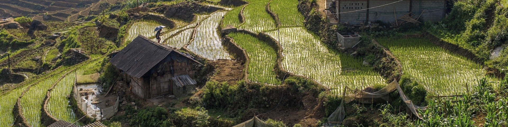 Rice terraces in Northern Vietnam.