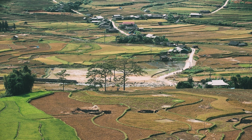 On the way to Sapa, look kind of cute!