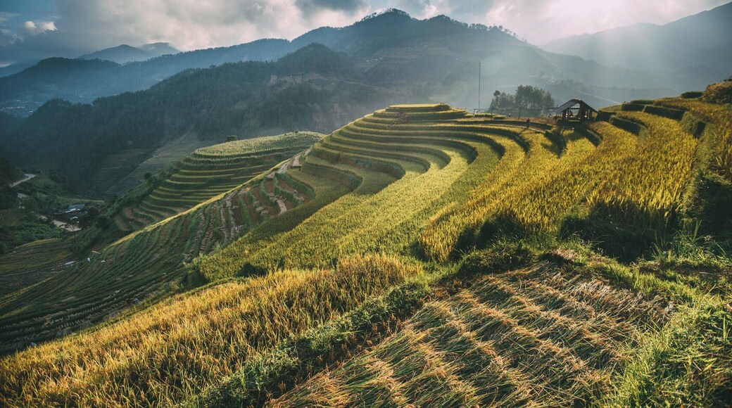 Mu Chang Chai in late September 2017
taken by The Terrible Tour Guide Travel http://theterribletourguide.com