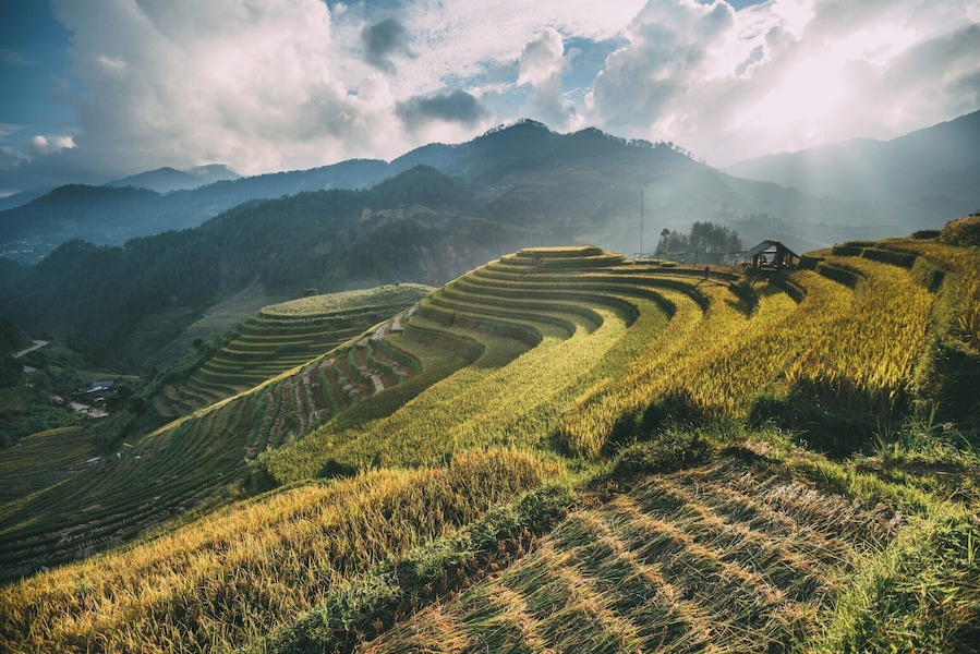 Mu Chang Chai in late September 2017
 taken by The Terrible Tour Guide Travel http://theterribletourguide.com