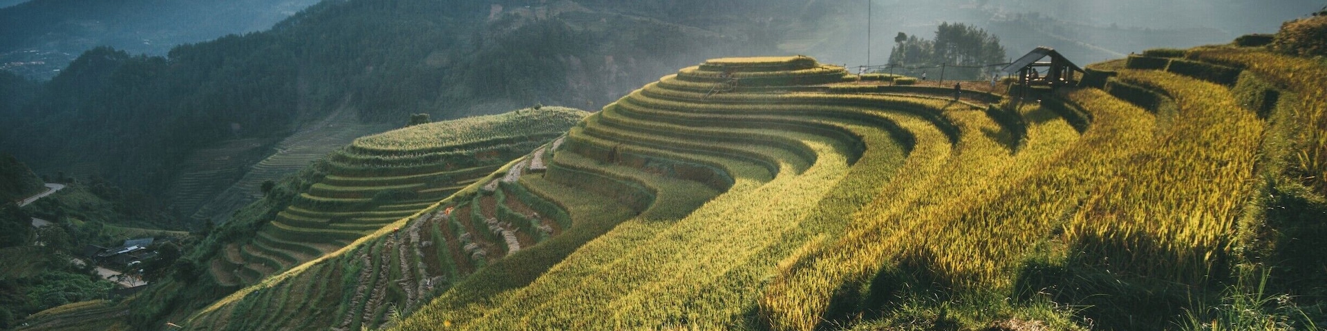 Mu Chang Chai in late September 2017
 taken by The Terrible Tour Guide Travel http://theterribletourguide.com