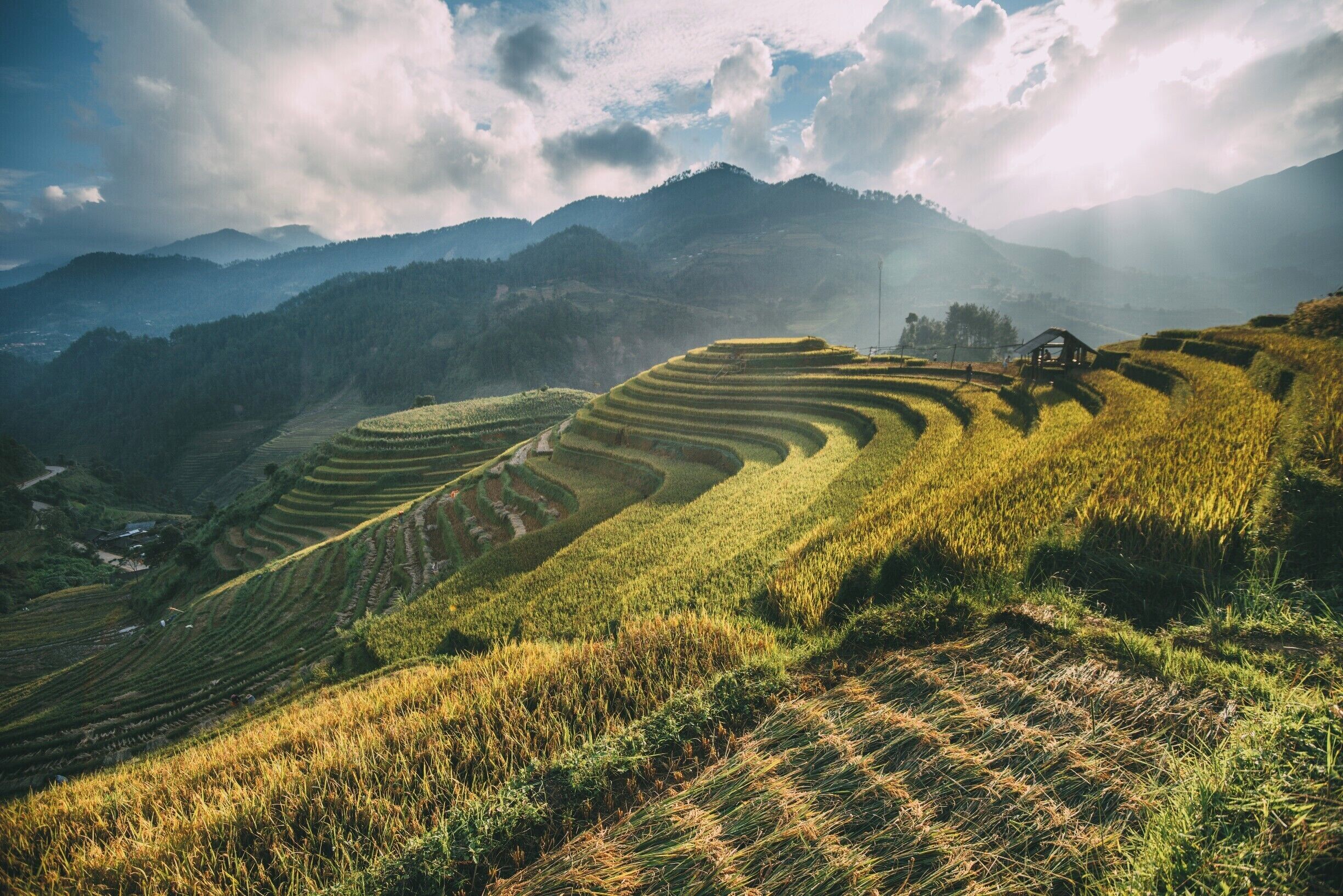 Terraced rice fields, rolling hills, and a distant mountain range.